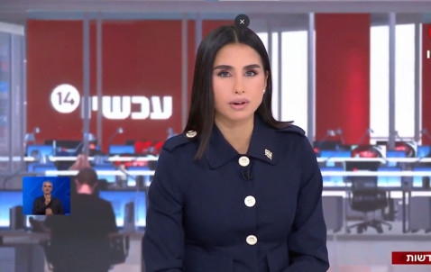 מגי טביבי (צילום: צילום מסך ערוץ 14)