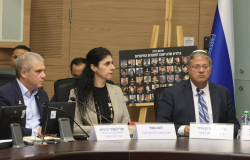 הדיון בהצעת החוק לעונש מוות למחבלים (צילום: מארק ישראל סלם)