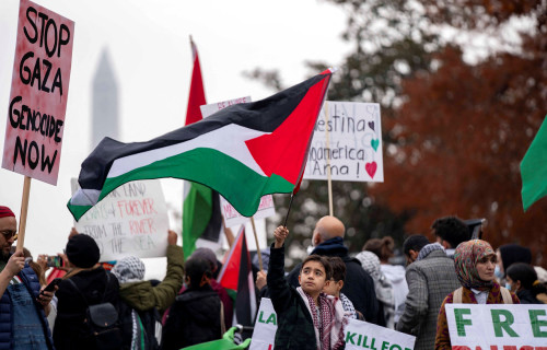 הפגנות פרו פלסטיניות בארה"ב (צילום: REUTERS/Bonnie Cash)