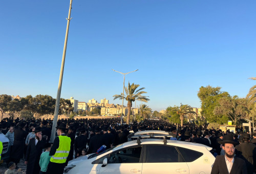 אלפי חרדים מחסידות גור מפגינים נגד חוק הגיוס בערד (צילום: פלד ארבלי)