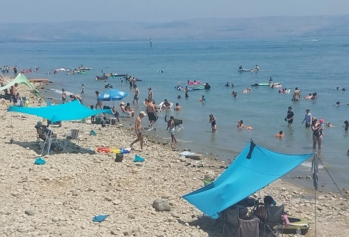 נופשים בכנרת, גל חום (צילום: צילום: נועה אלפנדרי, איגוד ערים כינרת)