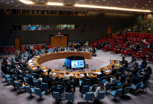 מועצת הביטחון של האו"ם (צילום: REUTERS/Angelina Katsanis)