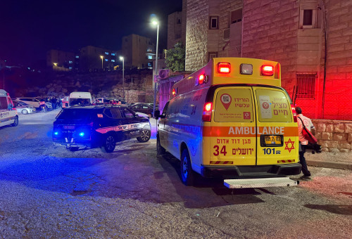 ניידת מד"א, ניידת משטרה, ירושלים (צילום: תיעוד מבצעי מד"א)