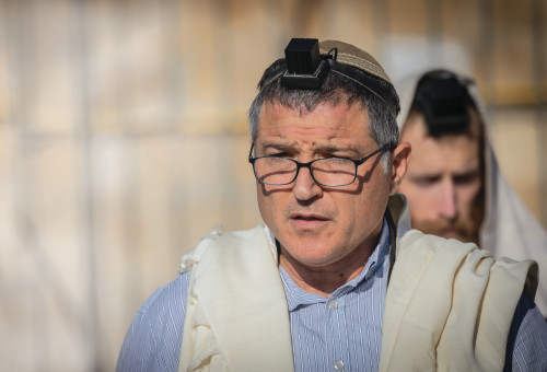 דוד זיני (צילום: חיים גולדברג, פלאש 90)