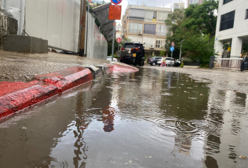 גשם (צילום: אבשלום ששוני)