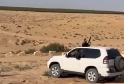 צעירים בדואים עם נשקים שלופים בדרום (צילום: צילום מסך רשתות חברתיות לפי חוק 27א לזכויות יוצרים)