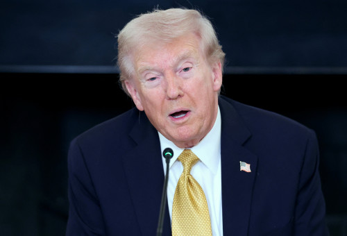 דונלד טראמפ (צילום:  REUTERS/Jonathan Ernst )