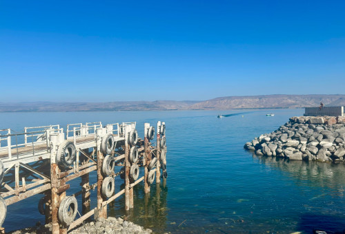 הכינרת בטבריה (צילום: בתיה גלעדי)