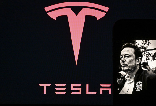 אילון מאסק, טסלה (צילום: רויטרס)