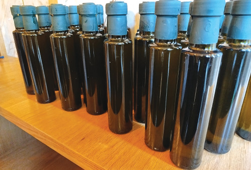 שמן זית "מורשת" (צילום: אילנה שטוטלנד)