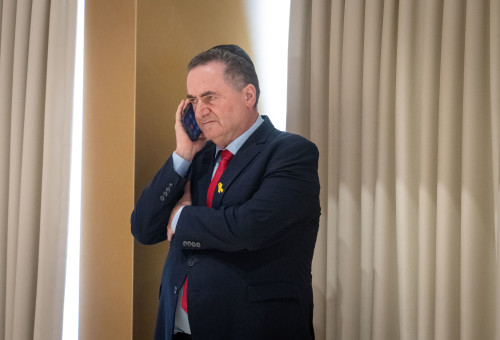 ישראל כ"ץ (צילום: אריה לייב אברמס פלאש 90)