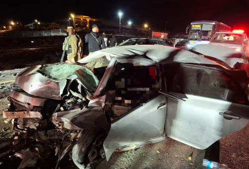 תאונה קטלנית בסמוך למושב מעון בכביש 317 (צילום: תיעוד מבצעי מד"א)