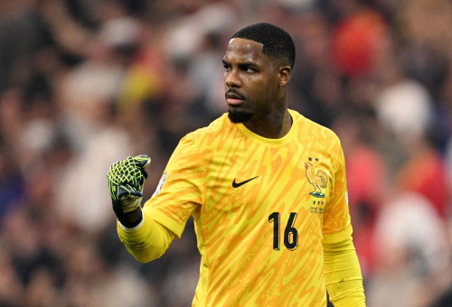 מייק מניאן שוער נבחרת צרפת (צילום: רויטרס)