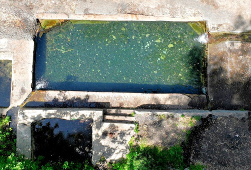 עין עלמין (צילום: אבי אריש, לרשות ניקוז ונחלים כינרת)