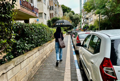 מטריה, גשם, חורף (צילום: אבשלום ששוני)