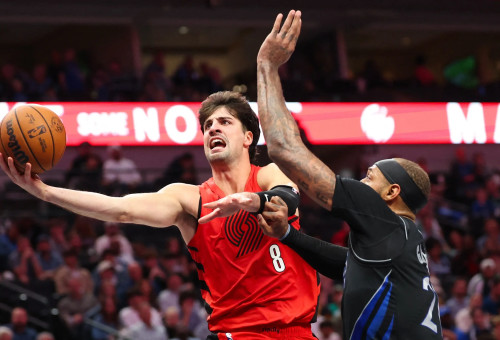 דני אבדיה, שחקן פורטלנד (צילום: רויטרס)