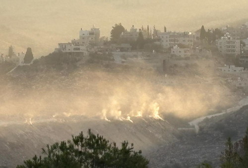 שריפת פסולת בנעלין  (צילום: שני גזית)