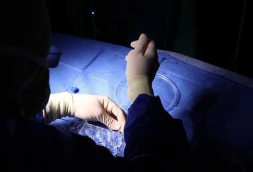 קרנית מודפסת. תהליך ייצור מתקדם (צילום: רמב"ם)