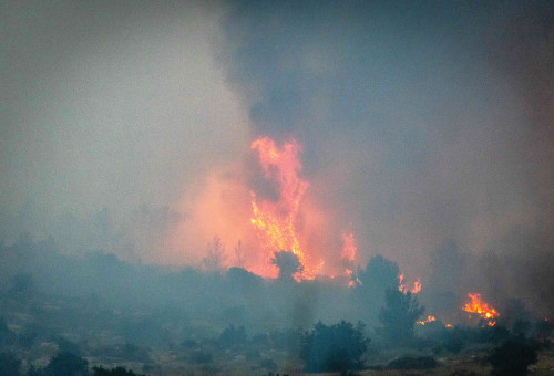 שריפה  (צילום: יונתן זינדל פלאש 90)