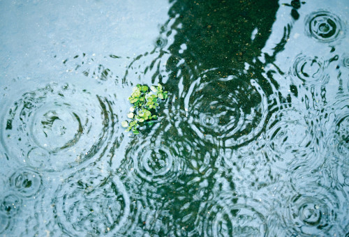 גשם (צילום: אינגאימג')