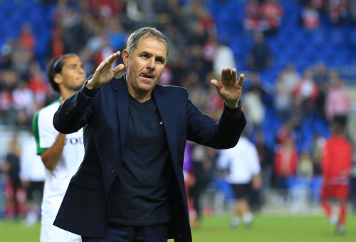 אלי גוטמן (צילום: ערן לוף)