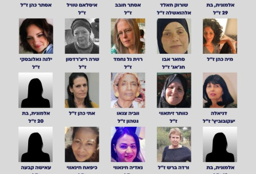 הנשים שנרצחו השנה  (צילום: באדיבות שדולת הנשים)