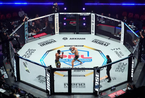 זירת MMA, אילוסטרציה (צילום: Cooper Neill)