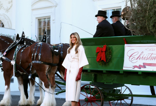 מלניה טראמפ (צילום: רויטרס)
