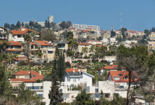 נוף הגליל (צילום: ללא)