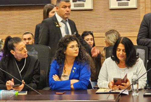 שרן השכל (צילום: דוברות הכנסת)