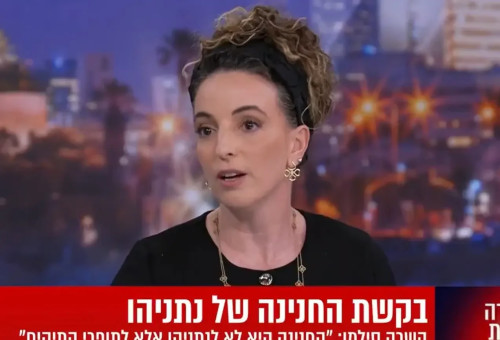 עידית סילמן בערוץ I24NEWS (צילום: צילום מסך, ערוץ 15)