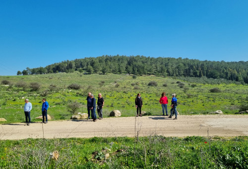מטיילים וכלניות בעמק השלום רמות מנשה  (צילום: פנינה צייזלר, קק"ל)