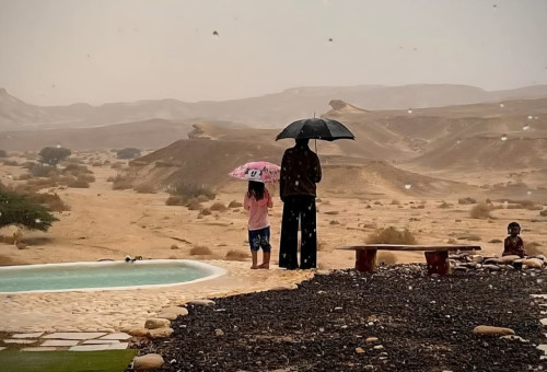 שיטפון בנחל שלהב בערבה התיכונה (צילום: נגה גיבורי)