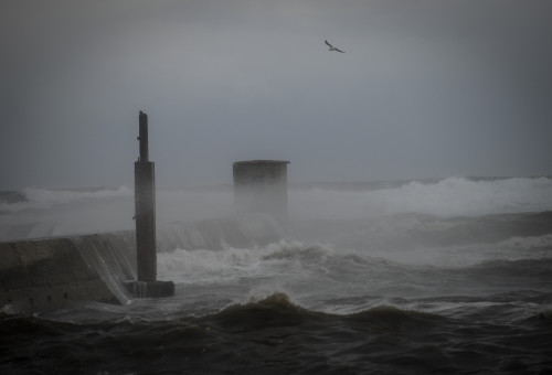 סערה בנמל תל אביב  (צילום: בן קלמר, פלאש 90)