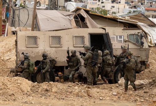 פעילות כוחות צה"ל באיו"ש (צילום: דובר צהל)