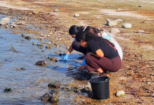 הכנרת (צילום: שי מזרחי, איגוד ערים כינרת)