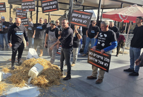 מאבק החקלאים נגד חוק החלב החדש (צילום: אלי גורן)