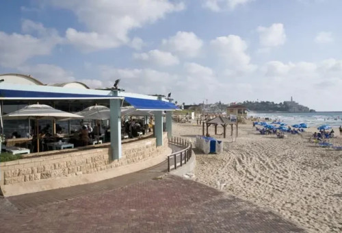 מסעדת מאנטה ריי בתל אביב (צילום: נמרוד סונדרס)