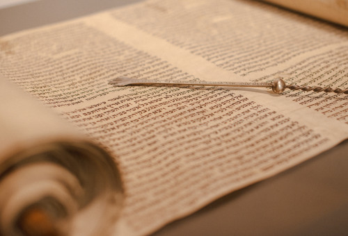 פרשת השבוע (צילום: שאטרסטוק)