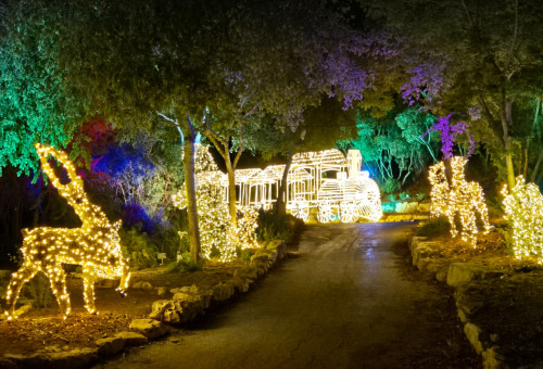 Winter Dreams II (צילום: תום עמית)