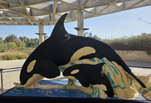 תערוכת לגו במדבריום באר שבע (צילום: ליאור עמר)