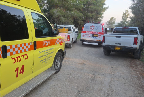 זירת הרצח בצפון (צילום: תיעוד מבצעי מד"א)