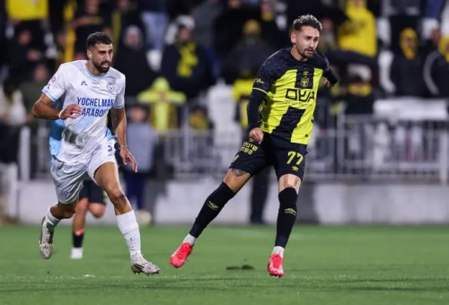  (צילום: מאור אלקסלסי)