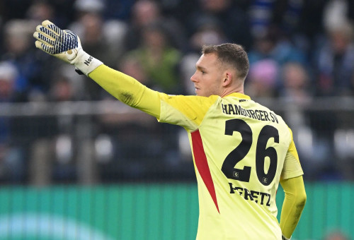 דניאל פרץ שוער המבורג (צילום: GettyImages, Stuart Franklin)