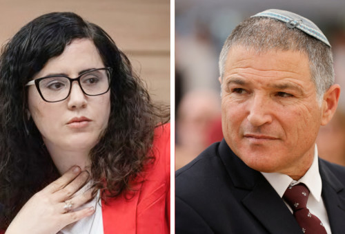 ח"כ נעמה לזימי, דוד זיני (צילום: רויטרס,דוברות הכנסת, נועם מושקוביץ)