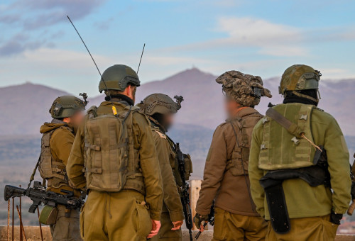 פעילות כוחות חטיבה 55 במרחב דרום סוריה (צילום: דובר צהל)