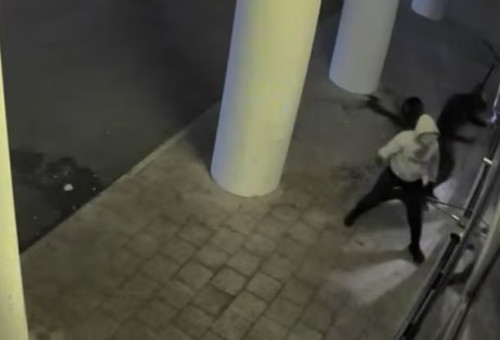 רעולי פנים משחיתים גלידריה בהרצליה (צילום: צילום מסך)