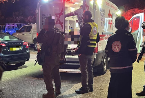 תיעוד מזירת האירוע  (צילום: דוברות מד"א)