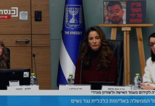 הוועדה למעמד האישה ושוויון מגדרי  (צילום: צילום מסך מתוך ערוץ הכנסת)