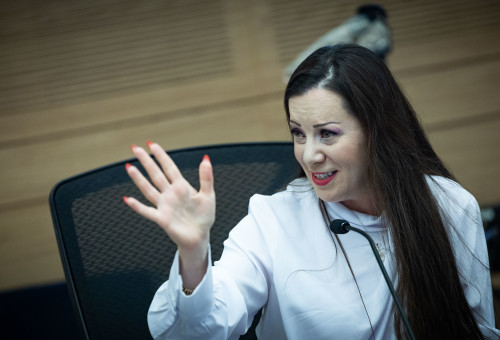 ח"כ טלי גוטליב (צילום: יונתן זינדל, פלאש 90)